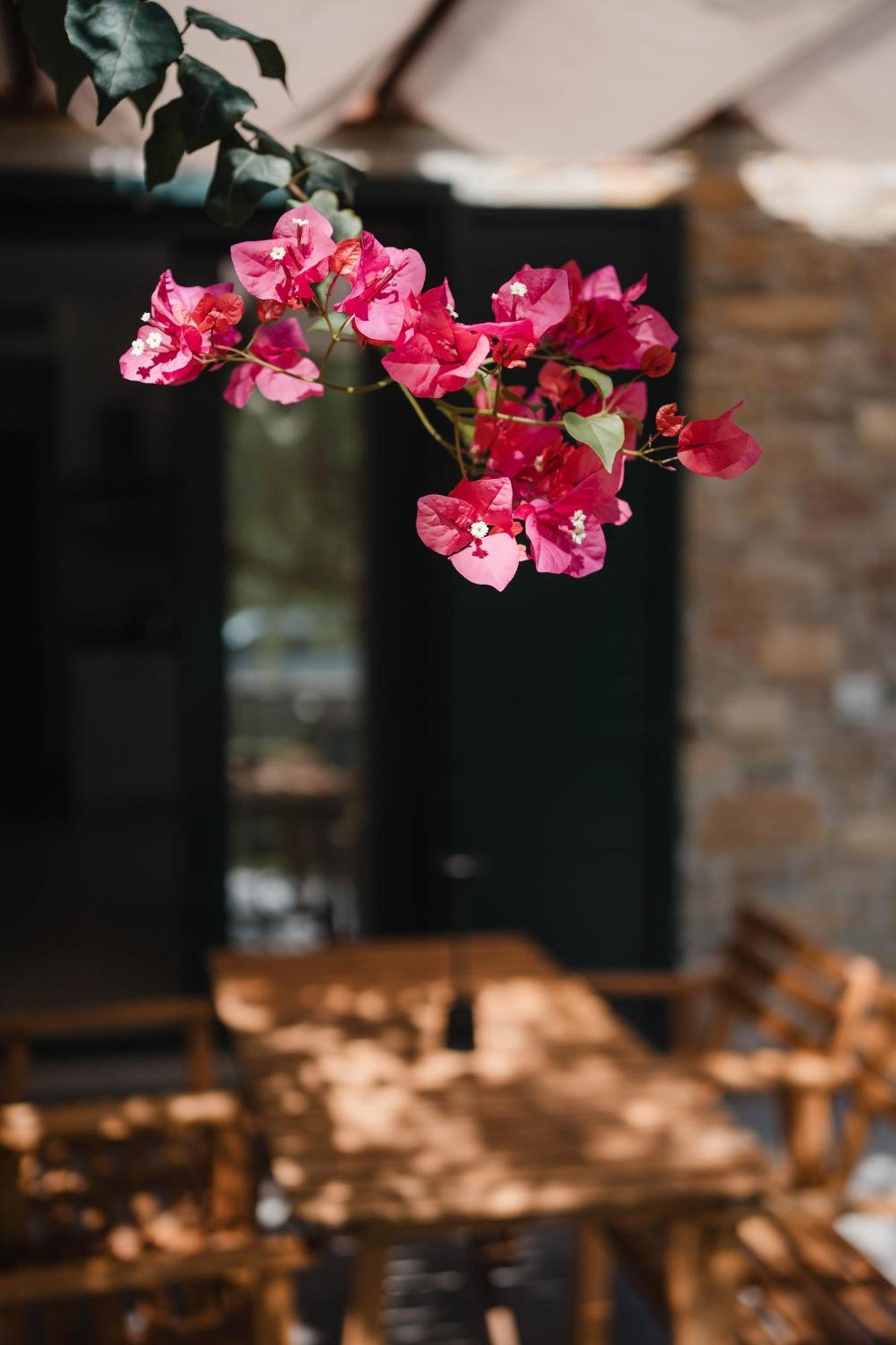 Villa Di Marinella 아셰아 외부 사진